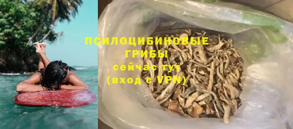 гидропоника Белокуриха
