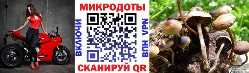 Купить  Боровск  Галлюциногенные грибы мухоморы 
